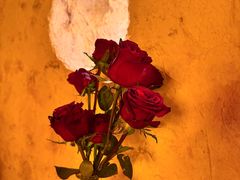 -BARBARIAN餐厅(武定路店)