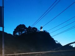 -大金鹰园