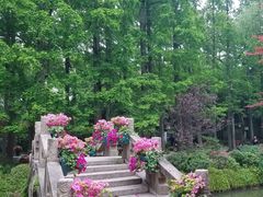 -上海醉白池公园
