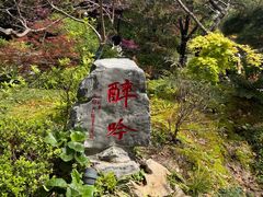 -上海醉白池公园