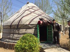 -九十九顶毡房(阜石路店)