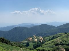 -东白山