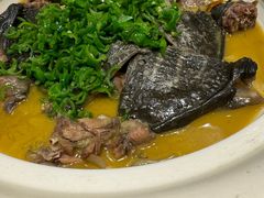 十五年橙皮甲鱼捞饭-华膳楼·安徽地标美食·中华餐饮名店(文化公园店)