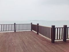 -太湖湖滨国家湿地公园-停车场