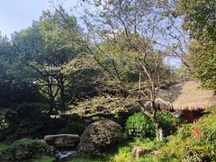 -中国茶叶博物馆(双峰馆区)