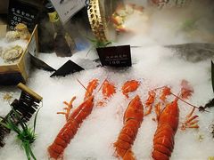波斯顿龙虾-62°上清优选