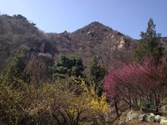 -北京鹫峰国家森林公园