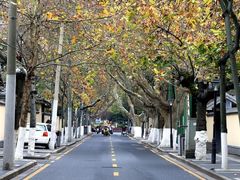 -颐和路民国时期公馆风貌区