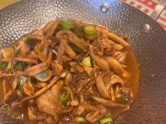 -谢小厨(沈家店)