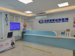 -北京观赏动物医院·24小时大型综合·猫专科·异宠专科