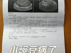 -美联众合动物医院·24h京西诊疗中心