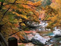 -光雾山旅游景区