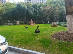 -华东师范大学第二附属中学(张江校区)