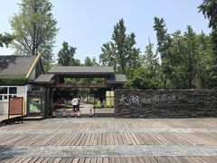 -苏州太湖湖滨国家湿地公园