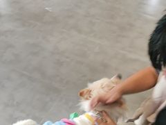 -Max乐狐·密室逃脱(港惠店)