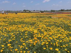 -江苏三台山国家森林公园