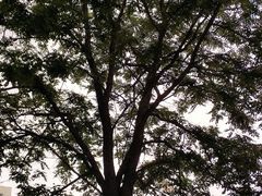 -诚大数码国际广场