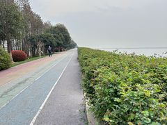 -贡湖湾湿地公园