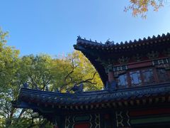 -灵谷景区