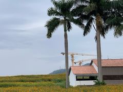 -光明小镇欢乐田园