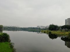 -四川大学(江安校区)