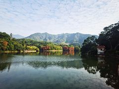-深圳仙湖植物园