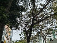 -三亚市第二中学