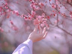 -盒马鲜生(悠方店)