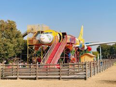 -苏州太湖西山岛开心农场