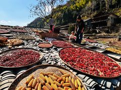 -楠溪江风景名胜区