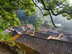 -杨家堂村