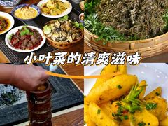 -三锅莊·牦牛肉火锅·香格里拉特色藏餐宴请餐厅(菱角塘路店)