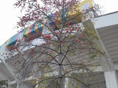 -天河体育中心