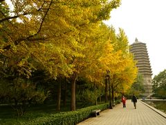 -玲珑塔公园