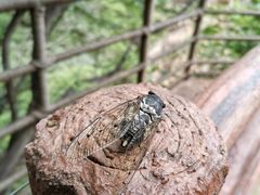 -野三坡清泉山风景区