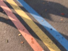 -羊山湖公园