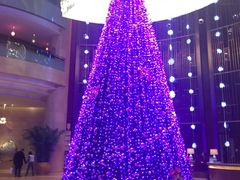 iphone_upload_pic-厦门源昌凯宾斯基大酒店