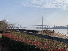 -上海山野camping·户外天幕烧烤·团建拓展营地