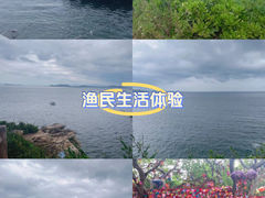 -巽寮湾