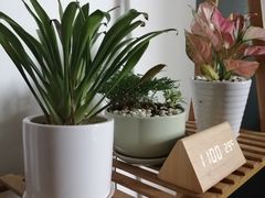 -绿房子心理咨询