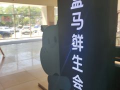 -盒马鲜生(大成店)