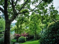 -野蔓果·山野菜(西湖景区·龙井茶田店)