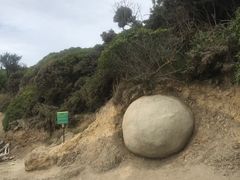 -摩拉基大圆石