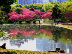 -堤角公园