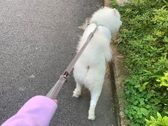 -映山红鲜货火锅(鱼嘴店)