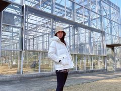 -前小桔亲子创意农场·草莓采摘·露营烧烤