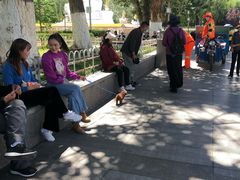 -宗角禄康公园