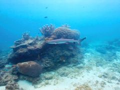 -卡帕莱度假村(西巴丹岛)