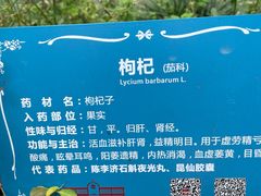 -陈李济中药博物馆