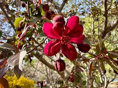 -元大都城垣遗址公园